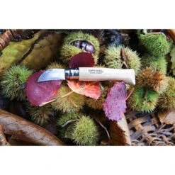Opinel Couteau N°07 Châtaigne, Ail Et Dénoyauteur -Maison Cuisine Rabais 411012 3 2 Couteau N 07 chataigne ail et denoyauteur Opinel