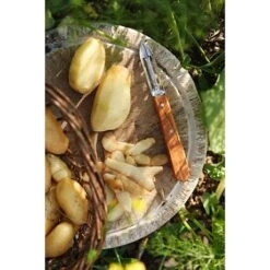 Opinel Coffret Les Essentiels Olivier -Maison Cuisine Rabais 411056 2 2 Coffret Les Essentiels Olivier Opinel