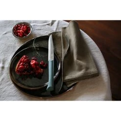 Opinel Coffret 4 Couteaux De Table Lame Micro-dentée 11 Cm Bon Appétit Plus Anthracite -Maison Cuisine Rabais 419003 4 2 Coffret 4 couteaux de table lame micro dentee 11 cm Bon Appetit Plus anthracite Opinel