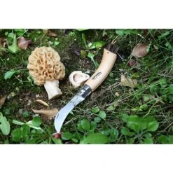 Opinel Couteau à Champignons Pliant N°8 Lame Inox 8 Cm -Maison Cuisine Rabais 471156 3 3 Couteau a champignons pliant N 8 lame inox 8 cm Opinel