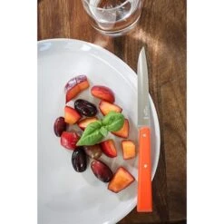 Opinel Coffret 4 Couteaux De Table Pop 9 Opinel Coffret 4 Couteaux De Table Pop -Maison Cuisine Rabais 471245 4 3 Coffret 4 couteaux de table Pop Opinel