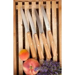 Opinel Coffret 4 Couteaux De Table Esprit Sud -Maison Cuisine Rabais 471247 2 2 Coffret 4 couteaux de table Esprit Sud Opinel