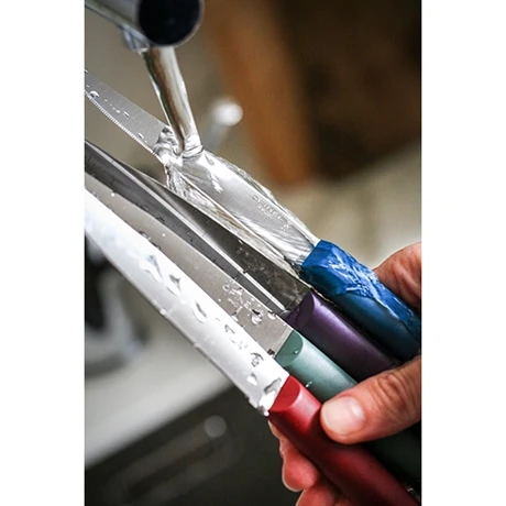 Opinel Coffret 4 Couteaux De Table Glam 3 Opinel Coffret 4 Couteaux De Table Glam – Image 3