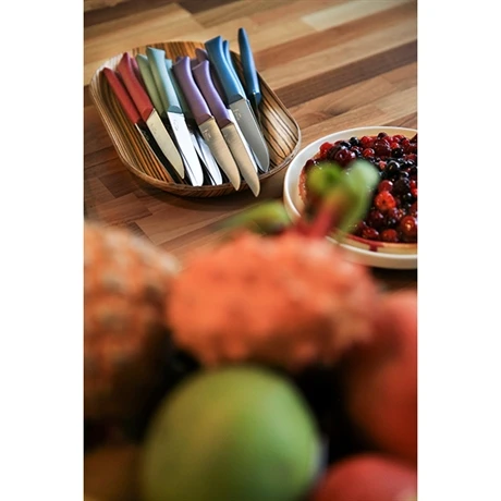 Opinel Coffret 4 Couteaux De Table Glam 4 Opinel Coffret 4 Couteaux De Table Glam – Image 4