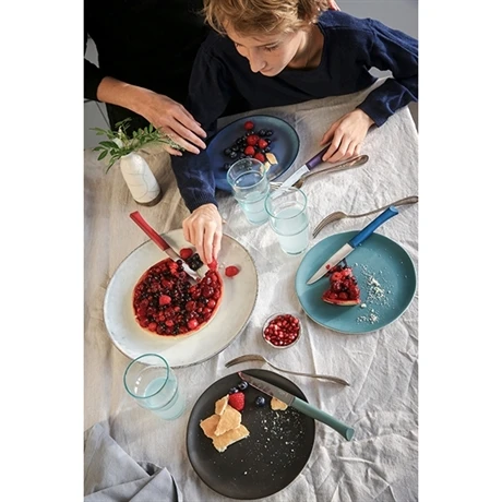 Opinel Coffret 4 Couteaux De Table Glam 5 Opinel Coffret 4 Couteaux De Table Glam – Image 5