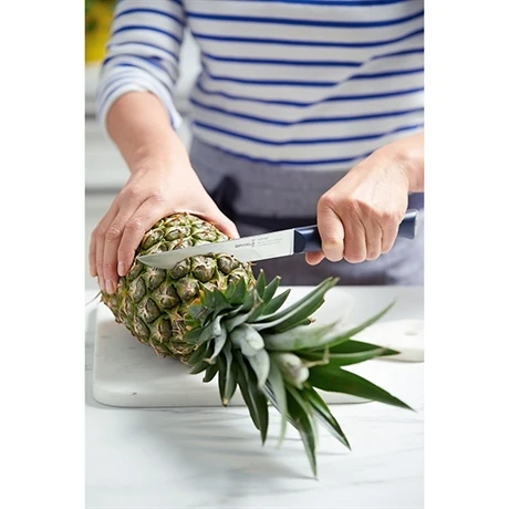 Opinel Couteau à Découper Intempora N°220 16 Cm 3 Opinel Couteau à Découper Intempora N°220 16 Cm – Image 3