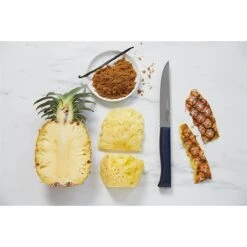 Opinel Couteau à Découper Intempora N°220 16 Cm 7 Opinel Couteau à Découper Intempora N°220 16 Cm -Maison Cuisine Rabais 471254 3 3 Couteau a decouper Intempora n 220 16 cm Opinel